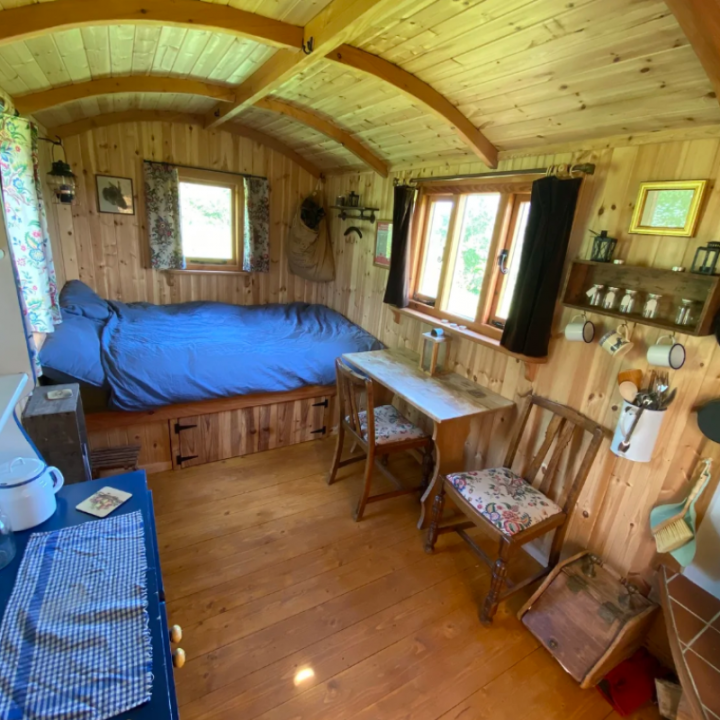 Forager Cabin & Eco spa tucked into Scotland’s edible forest hills