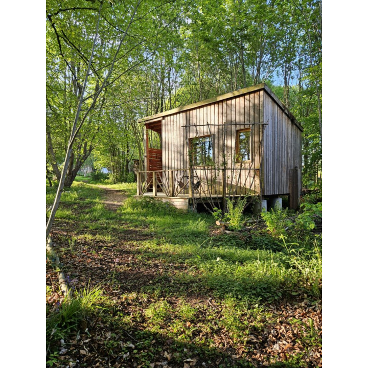Secluded off-grid cabins nestled in a vibrant forest garden