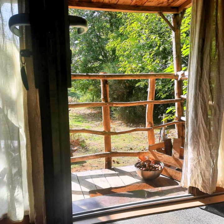 Hillside Yurt Between Meadow and Forest