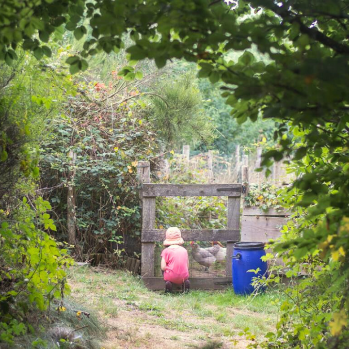 Hillside Yurt Between Meadow and Forest