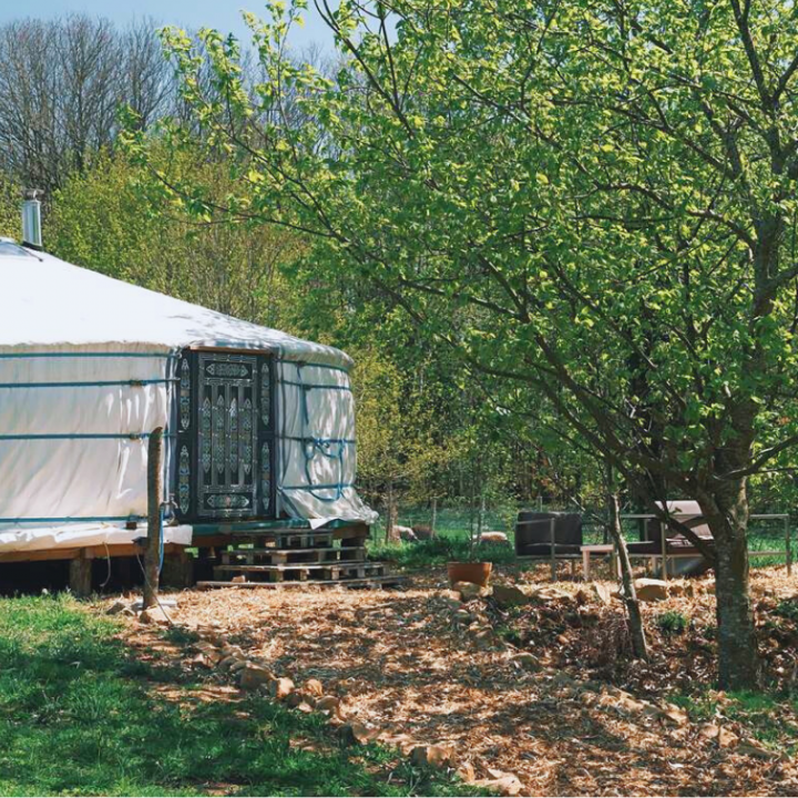 Spacious Mongolian Yurt on a Permaculture Farm