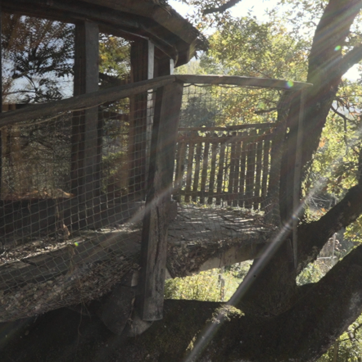 Rural Mountain Treehouse