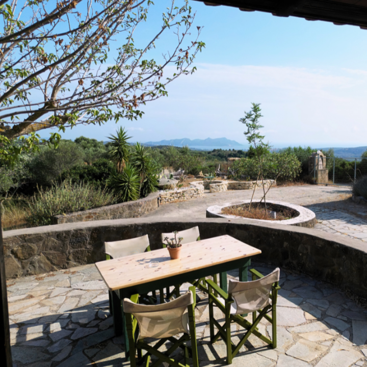 Agroecology in Olive Grove
