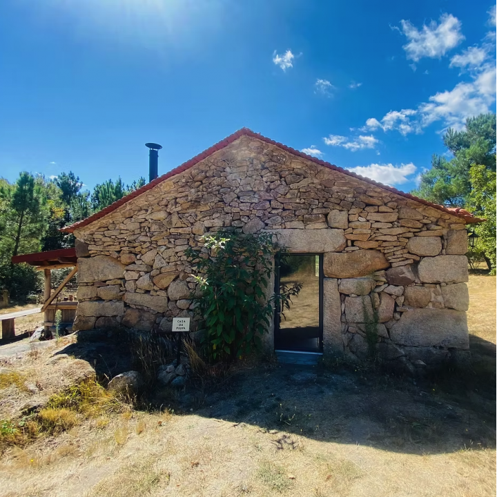 Outdoor living on ecosystem collective