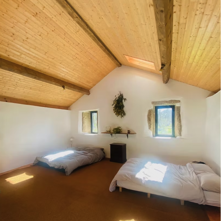 Outdoor living on ecosystem collective