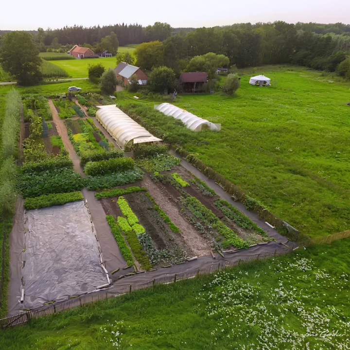 Regenerative Farm Glamping