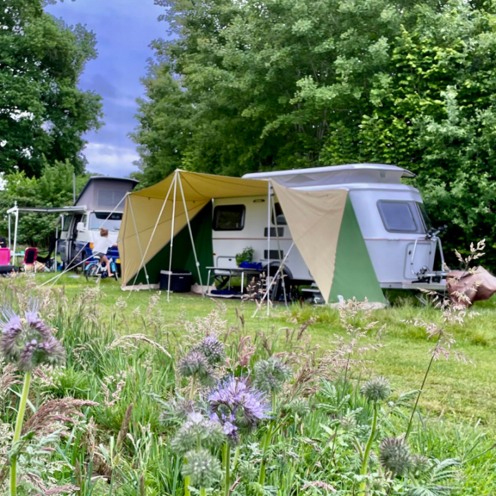 Food Forest Camping