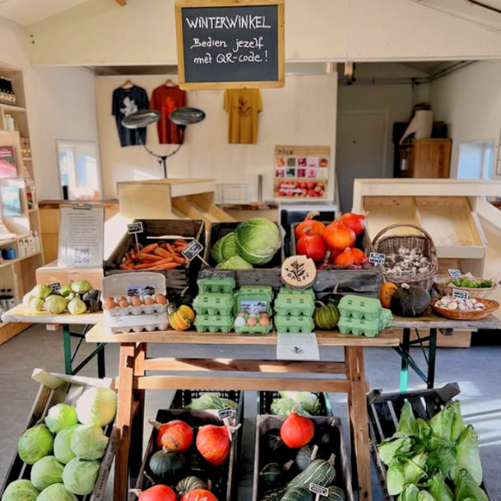 Food Forest Camping
