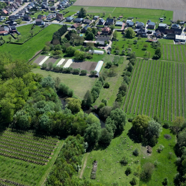 Whole Farmhouse on organic orchard