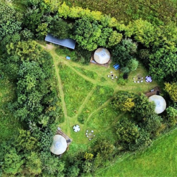 Among Arran’s Ancient Ecology