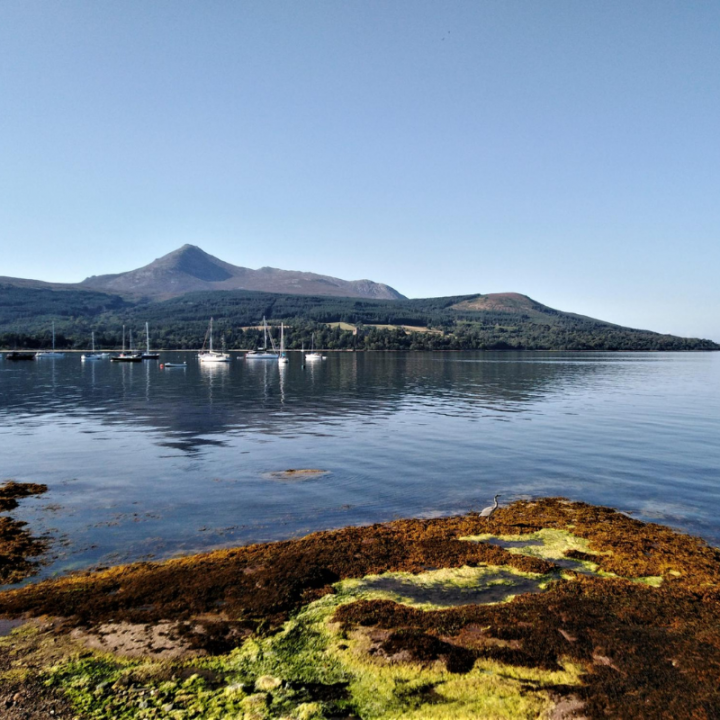 Rewild on the Isle of Arran