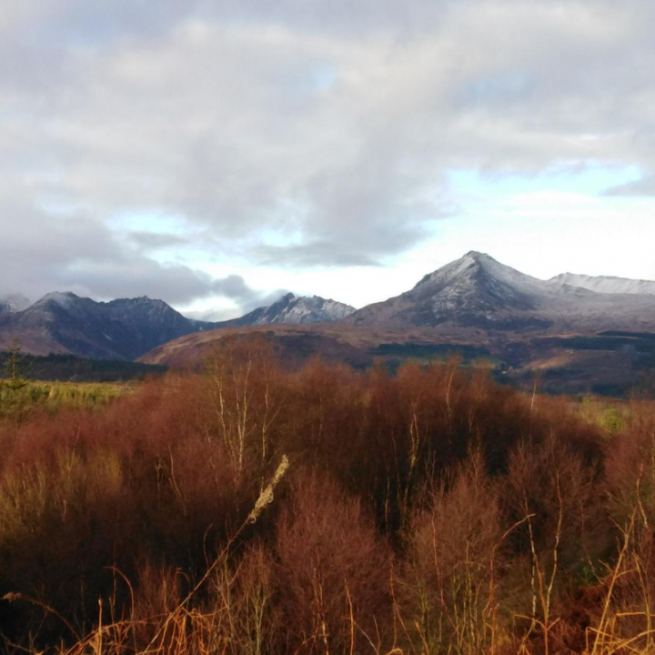Rewild on the Isle of Arran