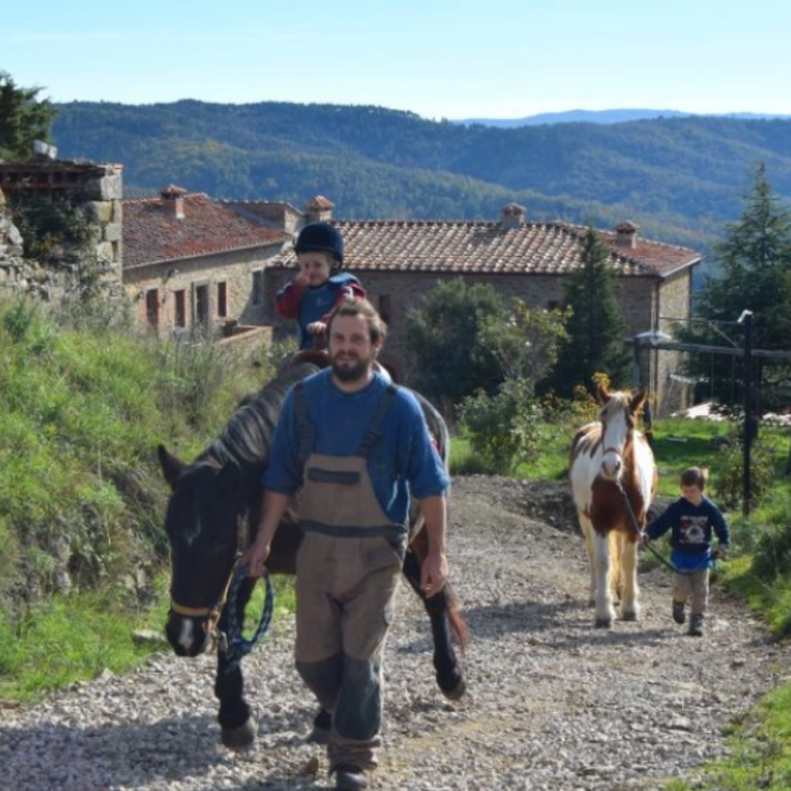 Wild Tuscan Agriturismo: Cestaio