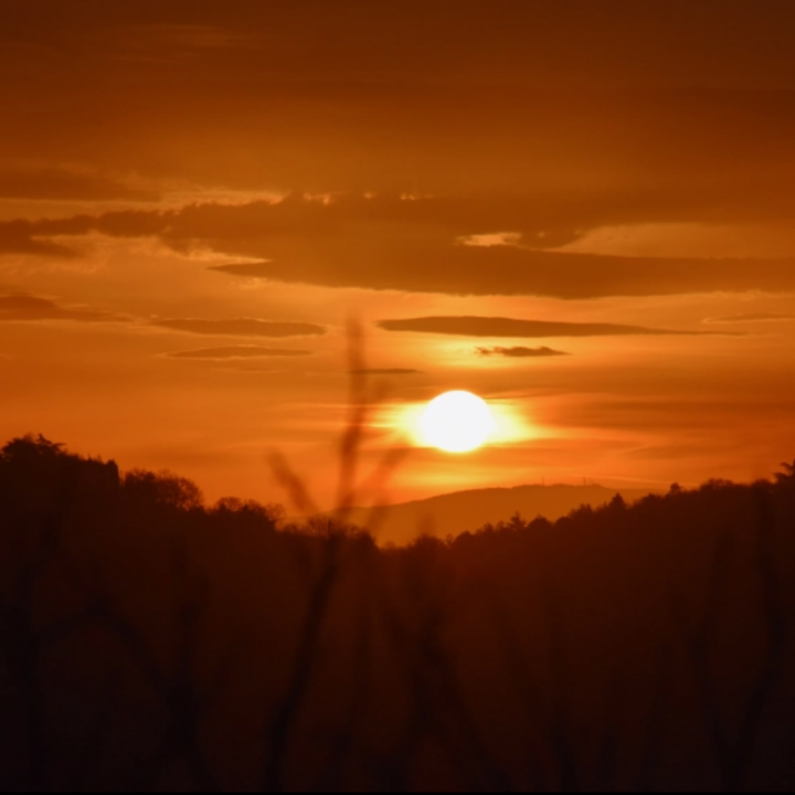 Tuscan Farmstay in the woods: Erborista